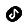 Metrolist icon