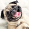 أيقونة Be Happy Wallpapers