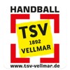 TSV Vellmar icon