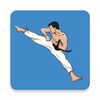 Mastering Taekwondo at Home icon