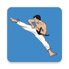 أيقونة Mastering Taekwondo at Home