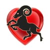 Horoscope love test icon