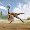 Gallimimus Simulator icon