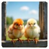 Icono de Chicks_Wallpapers