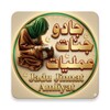 Icono de Jadu Jinnat Amliyat