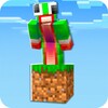 One Block Survival Minecraft M icon