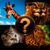 Guess Animal icon