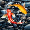 Fish Live Wallpaper icon