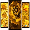 Golden Roses Live Wallpaper icon