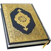 Holy Quran English icon