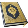 Ícone de Holy Quran English