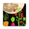 أيقونة Calendrier lunaire du jardinier