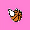 ไอคอน Flappy Dunk