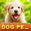 1 Pic N Words - Search & Guess Word Puzzle Game icon