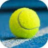 Tennis Cup 23: world Champions icon