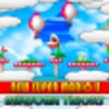 New Super Mario Bros U Cheats L 아이콘