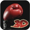 Boxing 3D icon