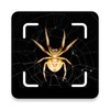 Icono de Spider Identification App