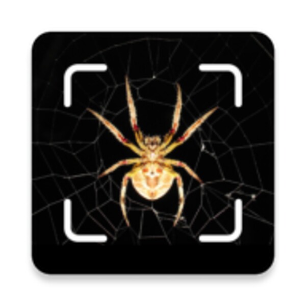 Spider Identification App for Android - Download the APK from Uptodown