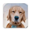 Dog Jigsaw Puzzle आइकन