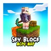 SkyBlock Survival Maps icon