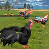 Icon von Angry Rooster Fight Simulator