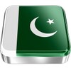 Pakistan flag icon