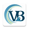 VB Connect 图标