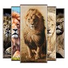 lion wallpaper icon