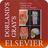 Biểu tượng DORLANDS/GRAYS Pocket Atlas of Anatomy