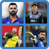 World Cricket Champions icon