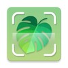 Icono de Plant Identifier