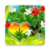 Icono de One Love