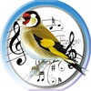 Goldfinch Hybrid Trainer icon