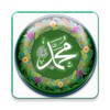 Icône Islamic Stickers-WASticker