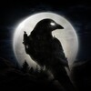 NIGHT CROWS आइकन