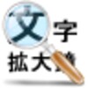 Text Zoom Tool icon