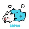 Capoo Snap icon