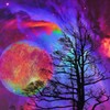 Psychedelic Wallpapers आइकन