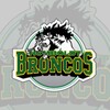 Broncos icon