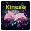 Icono de Kinesis desde Cero