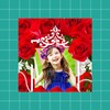 Flower Photo frame 2022 icon