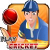 Play Cricket 아이콘