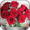 Flores y Rosas Rojas imágenes icon