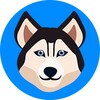 Dog Quiz! icon