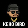 Icono de keko bird
