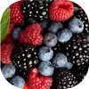Wild berries live wallpaper icon