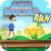 Икона Molina Run to the Wayne