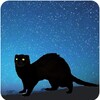 Ferret Night Camera icon