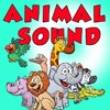 Animal Sound For Kids icon
